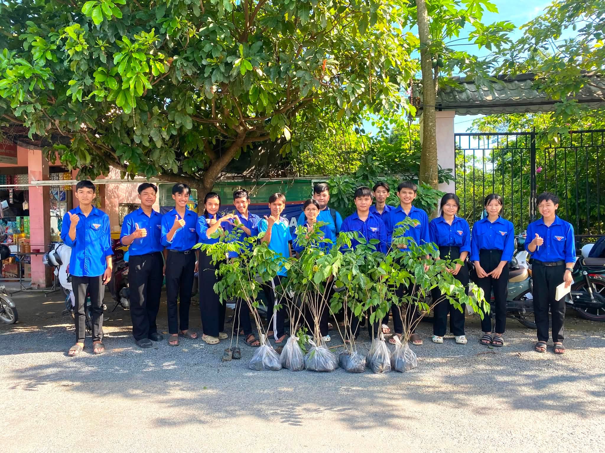 Phát huy tinh thần tình nguyện, tuổi trẻ xã Long Hiệp chung tay trồng cây xanh bảo vệ môi trường